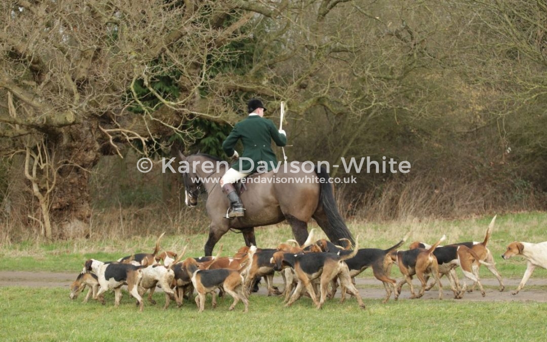 Waveney Harriers 3.2.18 Whipper-in hunts hounds final take