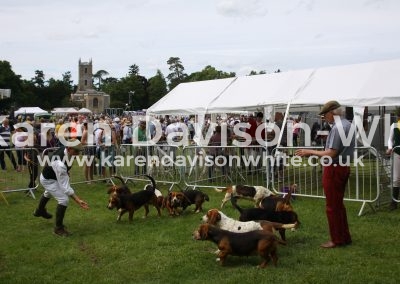 IMG_7461De Burgh and North Essex Harehounds