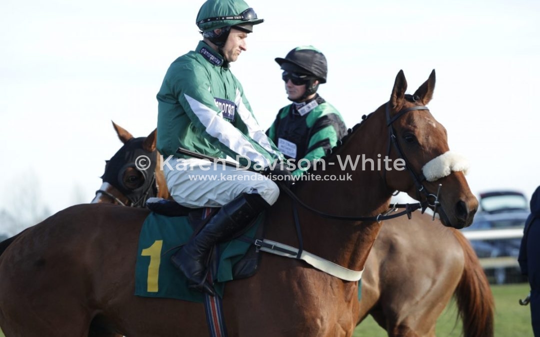 Fakenham Races 16.2.18 take one