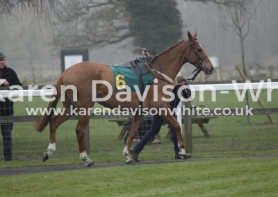 IMG_3094Schap Caroline Fry 3rd maiden hurdle Patrick Cowley rode